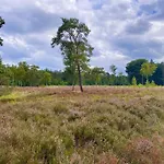 Knus Op Kindvriendelijk Park Met Zwembad Hébergement de vacances