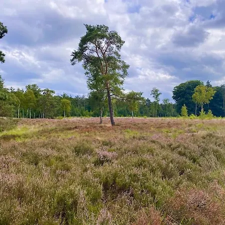 Knus Op Kindvriendelijk Park Met Zwembad Holiday home
