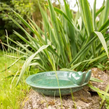 Knus Op Kindvriendelijk Park Met Zwembad * オッテルロ