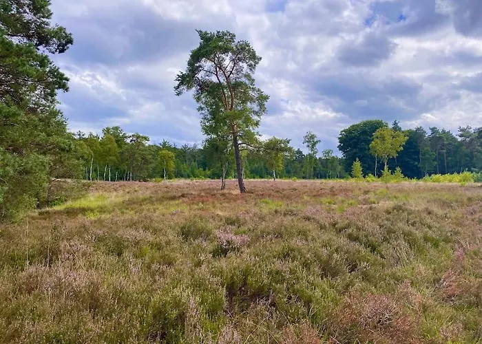 Knus Op Kindvriendelijk Park Met Zwembad Hébergement de vacances
